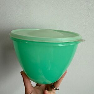 Vintage Tupperware Crisp it
